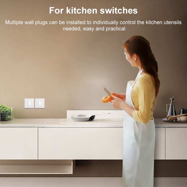 Wall Plate with Screw for Blank Inserts - 1 Hole, Use around the world