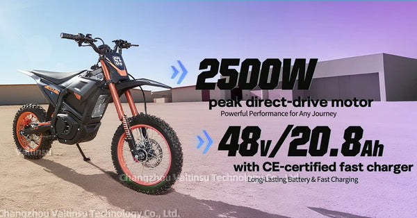 VALTINSU EM-5 Verified Manufacturer 48V 2500 W Motorcycle Performance Pit Bike Off Road Electric Dirt Bike
