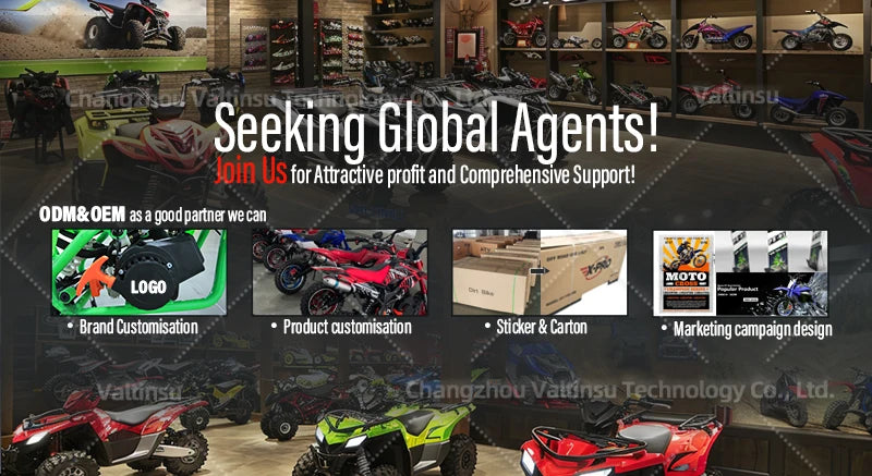 VALTINSU EM-5 Verified Manufacturer 48V 2500 W Motorcycle Performance Pit Bike Off Road Electric Dirt Bike