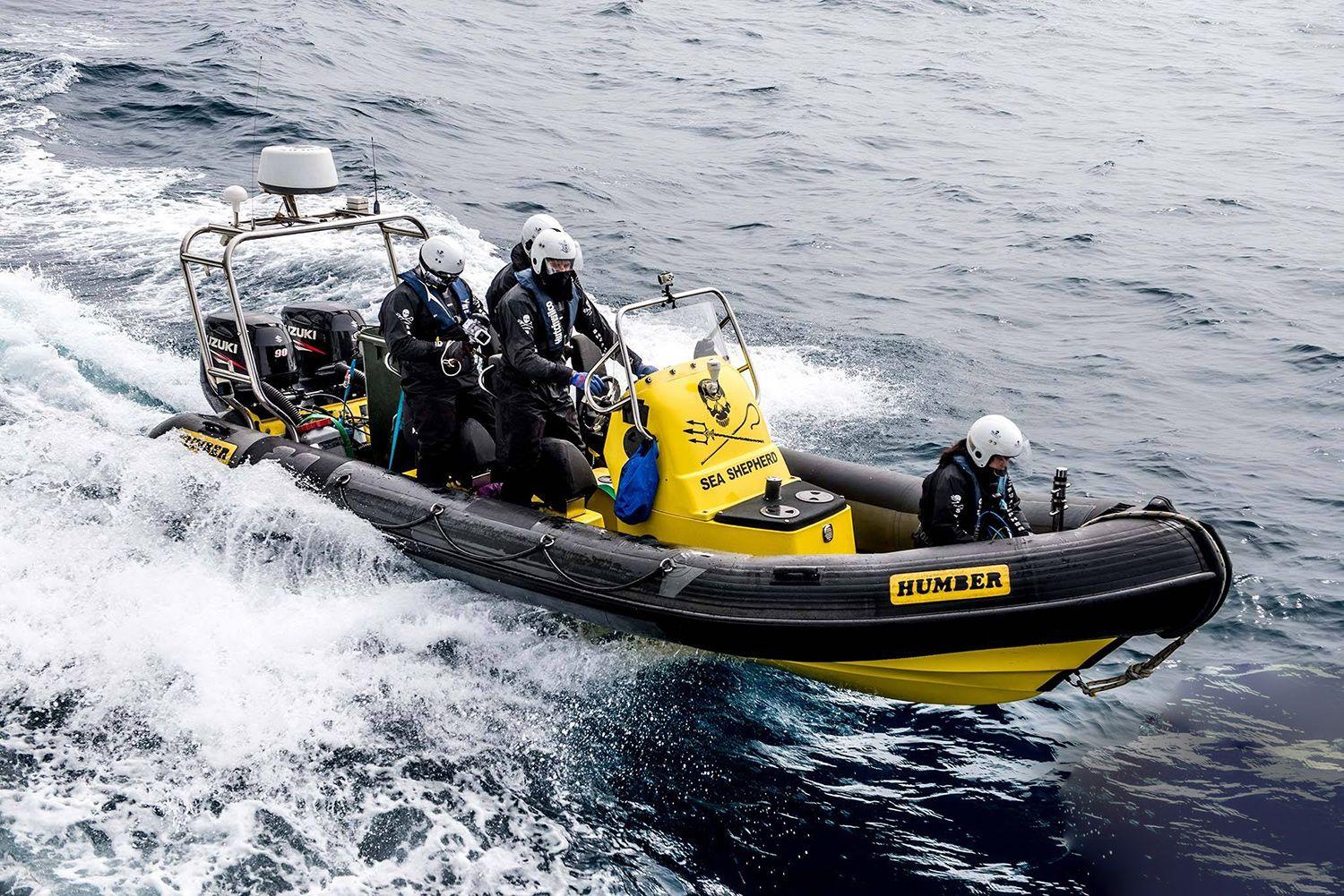 Scanstrut Stainless Stainless Stainless SPT1002 PowerTower 15 | 4Boats