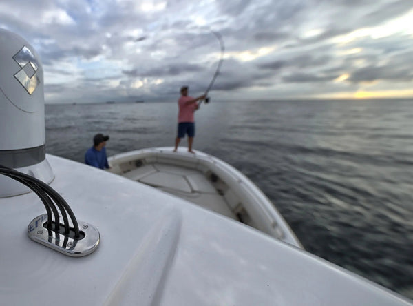 Low Profile Multi Stainless Steel