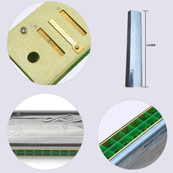24-hole Echo Polyphony Stress Harmonica Instrument, Polyphony, Stress, Echo