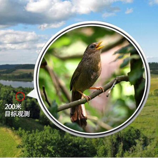 Eyeskey High-definition HD Telescope Night Vision Non-infrared Nitrogen-filled Waterproof Pocket Binoculars