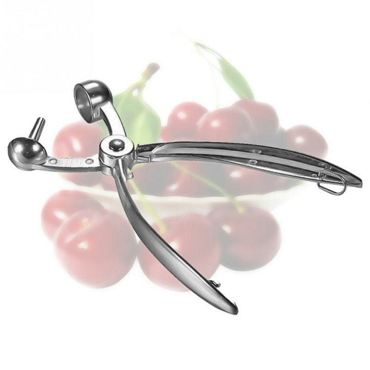Fruit Stainless Steel Corer Cherry Nucleator, Corer Cherry Nucleator