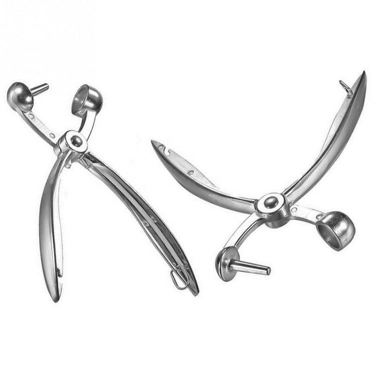 Fruit Stainless Steel Corer Cherry Nucleator, Corer Cherry Nucleator