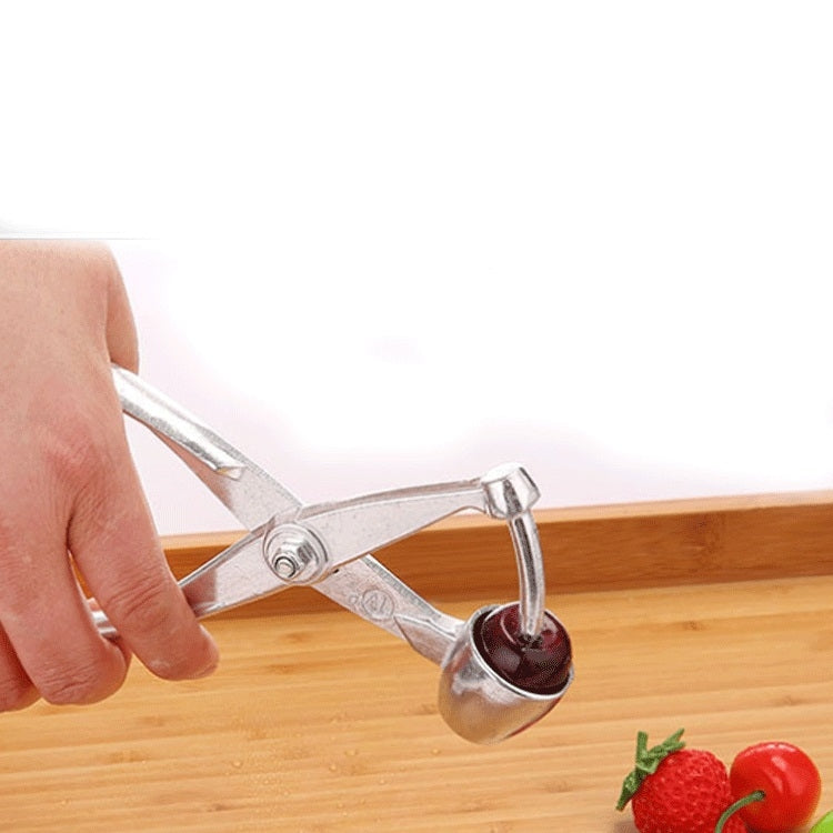 Fruit Stainless Steel Corer Cherry Nucleator, Corer Cherry Nucleator