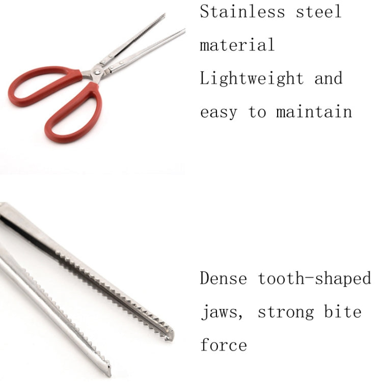 Crab Tongs Loach Tongs Sea Tool, 30cm Straight Clip, 38cm Straight Clip, 38cm Curved Clip, 53cm Ctraight Clip, 53cm Curved Clip