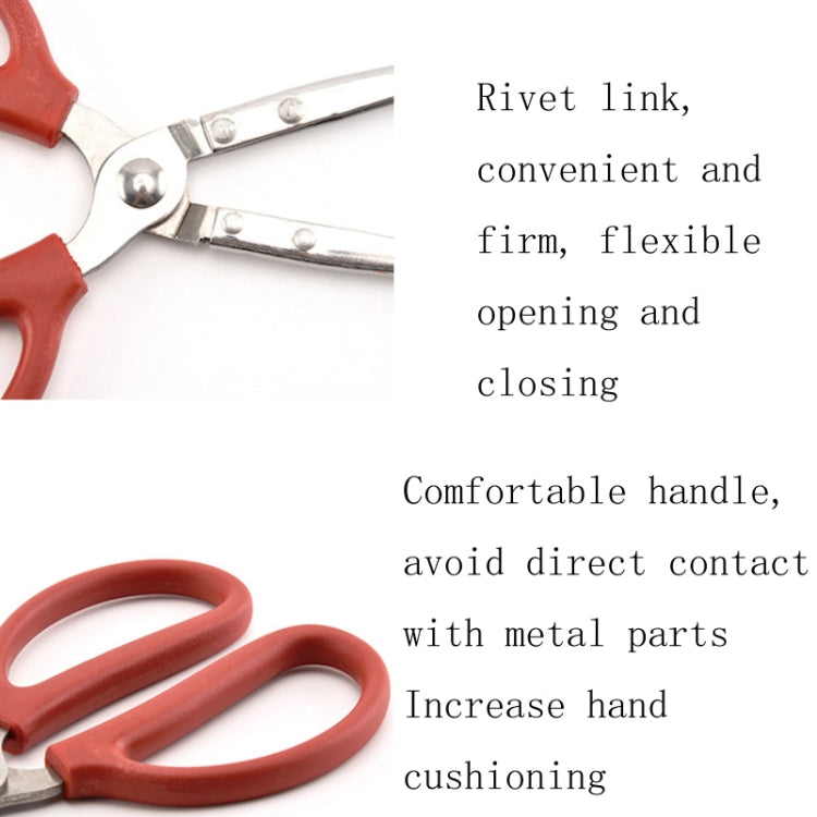 Crab Tongs Loach Tongs Sea Tool, 30cm Straight Clip, 38cm Straight Clip, 38cm Curved Clip, 53cm Ctraight Clip, 53cm Curved Clip