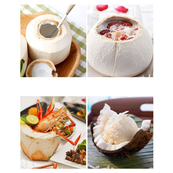 304 Stainless Steel Coconut Opener Tool Coconut Shell Shaving Tool Set, 2 in 1 Coconut Opener