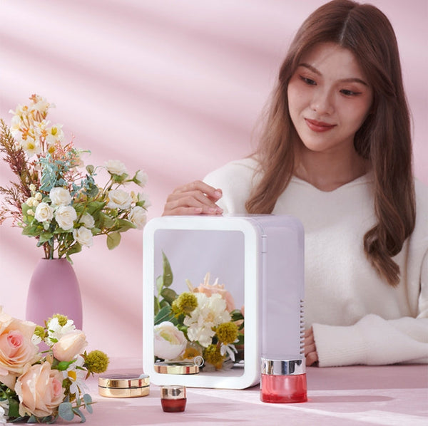 5L Beauty Makeup Mirror Skin Care Products And Facial Mask Refrigerator Semiconductor Car Refrigerator