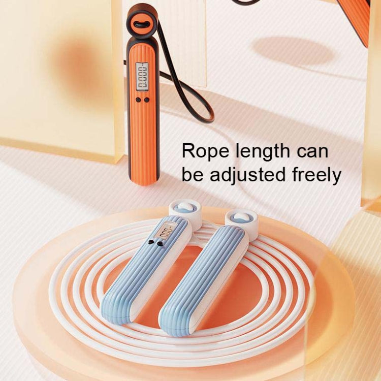Fitness Sport Intelligent Electronic Counting Skipping Rope, Style: