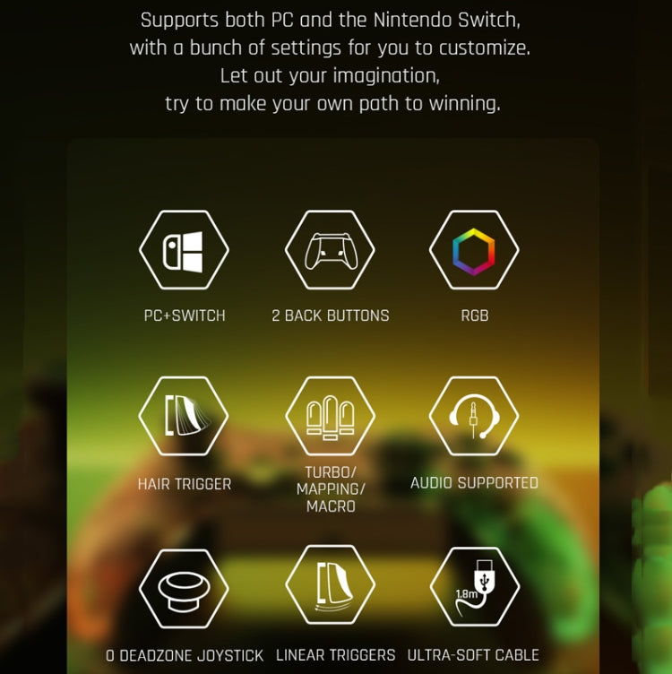 RGB Light Wired Gamepad Controller For PC/Switch