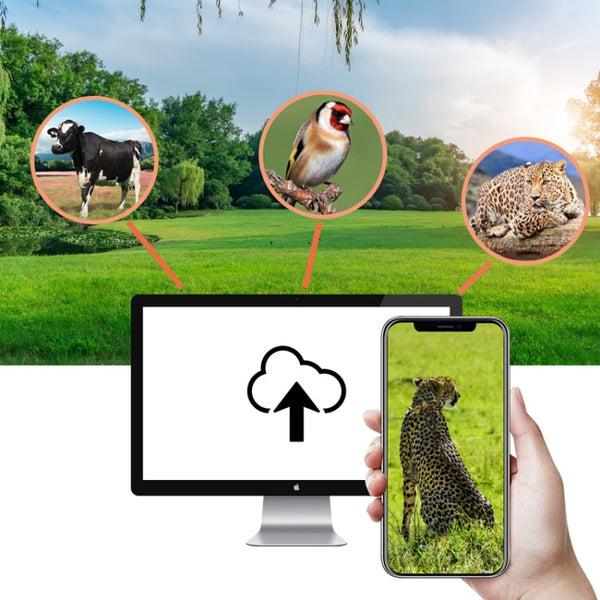 4K 4G Outdoor Track Camera Remote Mobile Phone Control To View Photos / Video At Any Time