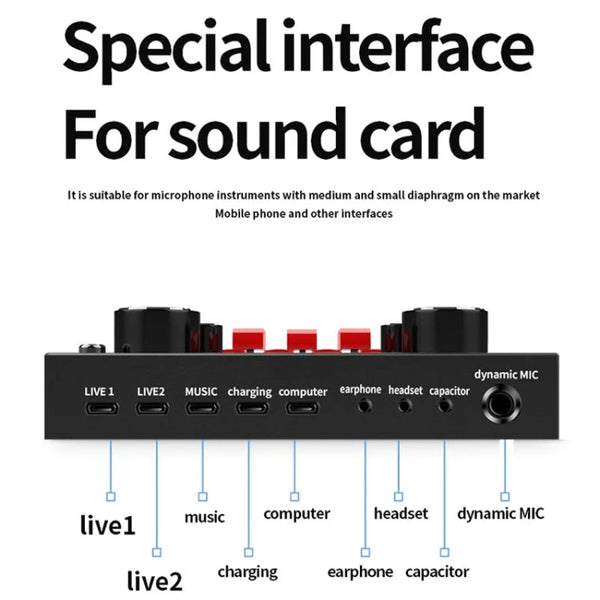 Audio Condenser Mic Studio Singing Microphone