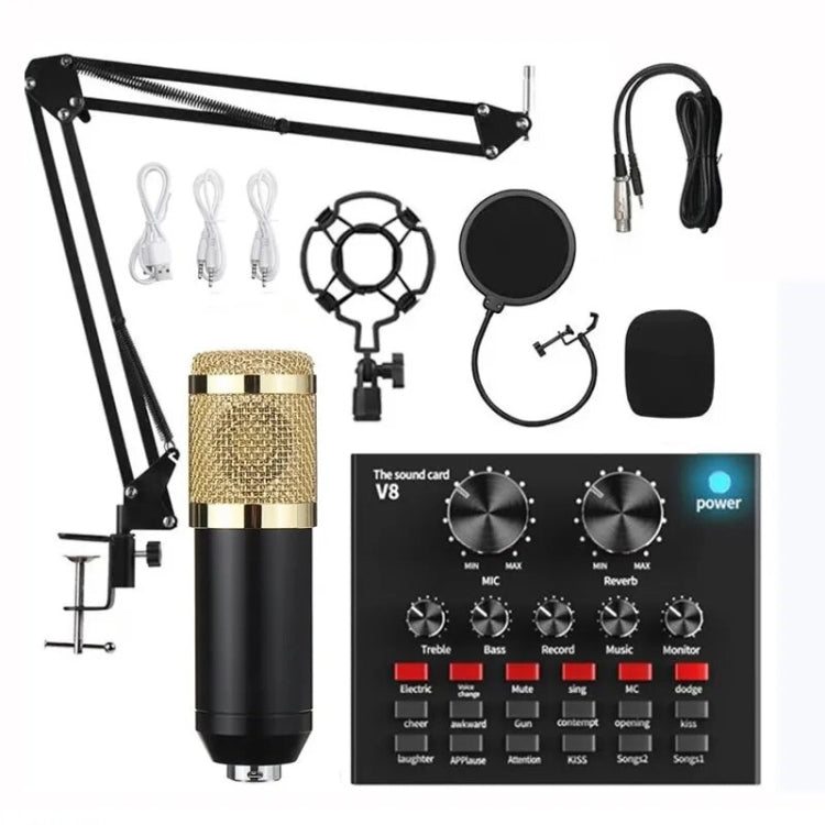 Audio Condenser Mic Studio Singing Microphone