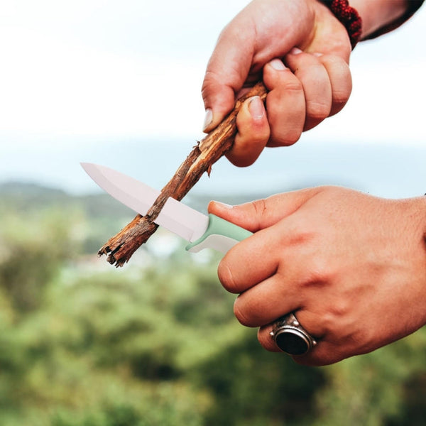 4-inch Hippo Ceramic Fruit Knife Supplementary Food Knife