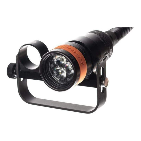 Ammonite Modular Goodman With Scooter Loop