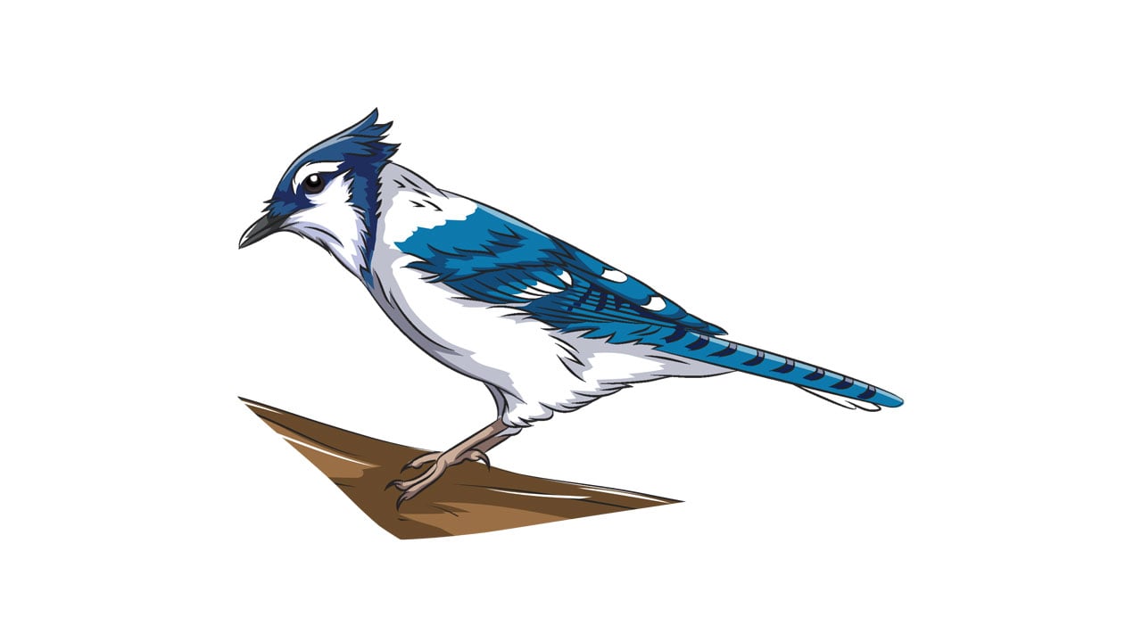 TuneRC Poly F405 2-4S AIO Flight Controller