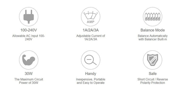 SkyRC e430 LiPo/LiFe (2-4S) Balance Charger