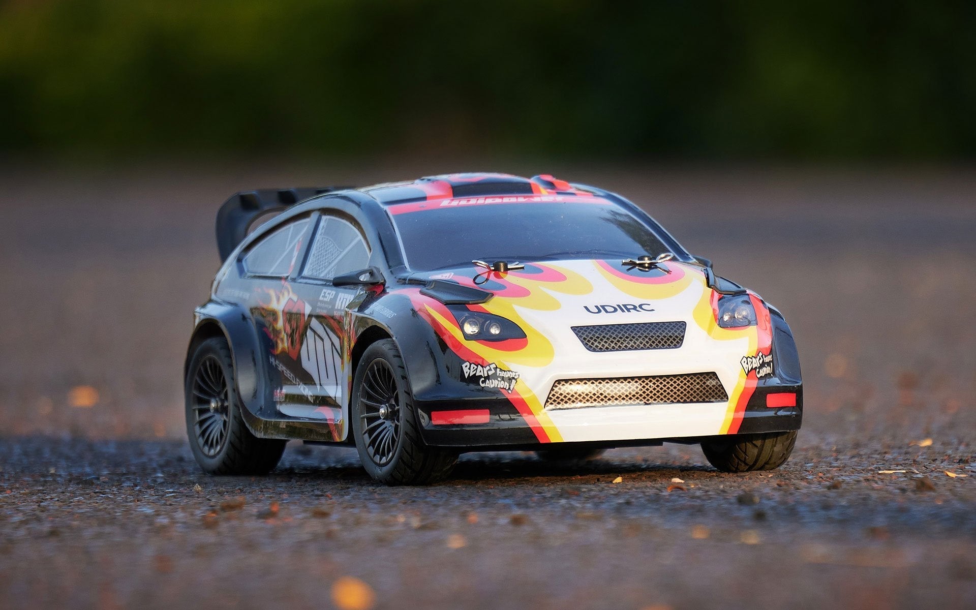 UDIRC Rally Car F Style Brushed RTR